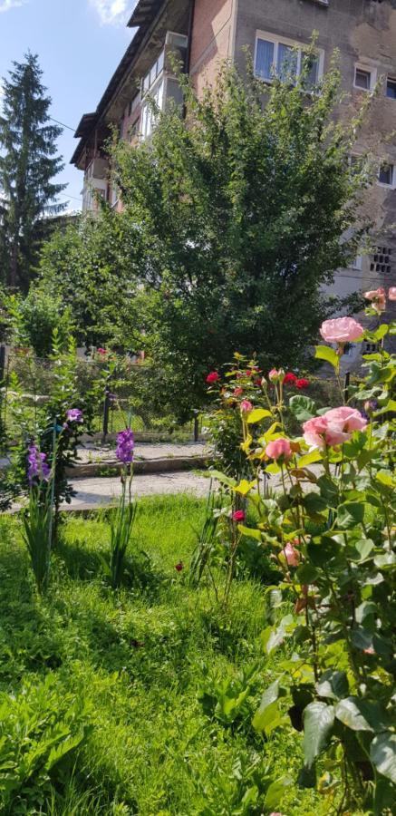 La Mihai Lupeni  Экстерьер фото